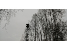 IMG 20200307 122736.jpg