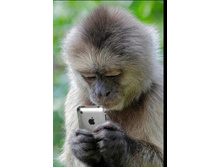 Screenshot 20200309 090008.jpg