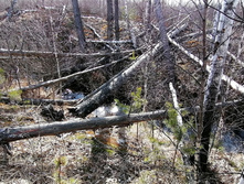 IMG 20200322 103353.jpg