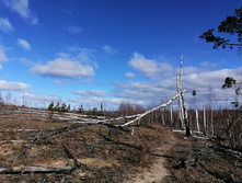 IMG 20200321 105750.jpg