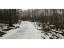 IMG 20200308 104705.jpg