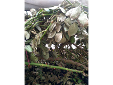 IMG 20200303 115247.jpg