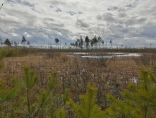 IMG 20200314 123439.jpg