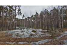 IMG 20200309 134540.jpg