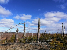 IMG 20200321 111834.jpg