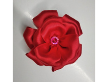 ���� �� ������� ���� �������