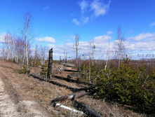 IMG 20200321 105238.jpg