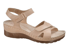 BN-051-920-X6 ��������� Evalli �������.JPG