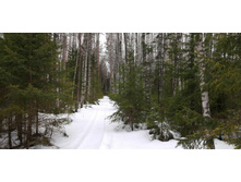 IMG 20200307 114104.jpg