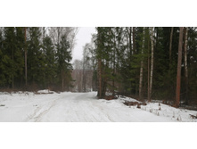 IMG 20200308 104310.jpg