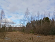 IMG 20200321 085519.jpg