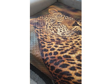 8314a242-74af-46dc-9971-ca44188372ff fs2.jpg