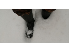 IMG 20200307 113941.jpg