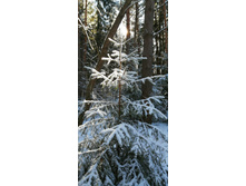 IMG 20200301 115219.jpg