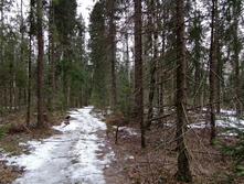 IMG 20200307 113446.jpg