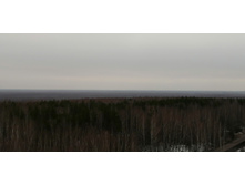 IMG 20200307 121920.jpg