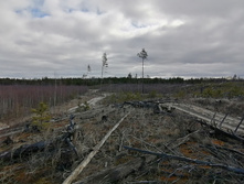 IMG 20200321 103352.jpg