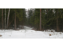 IMG 20200308 104247.jpg