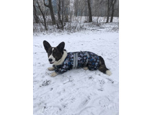 ����������� viber 2020-03-15 14-42-04.jpg