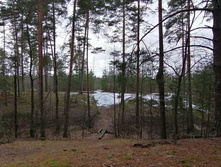 IMG 20200309 152820.jpg