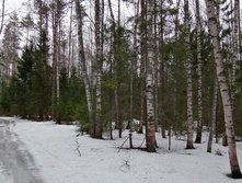 IMG 20200307 113513.jpg