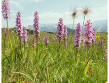 �������� �����������̆.jpg