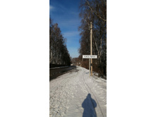 IMG 20200301 150350.jpg