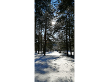 IMG 20200301 105300.jpg