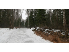 IMG 20200308 110530.jpg