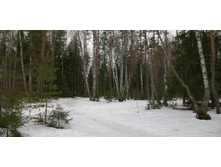 IMG 20200307 112214.jpg