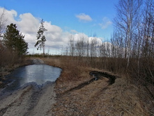 IMG 20200321 103711.jpg