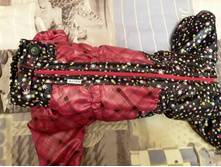 ����������� viber 2020-03-21 22-02-48.jpg