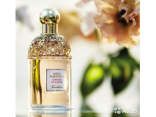 AQUA ALLEGORIA GINGER PICCANTE � � 125 �� 6200+%+����