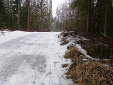 IMG 20200308 104606.jpg