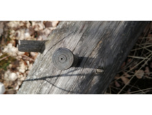 IMG 20200322 105130.jpg