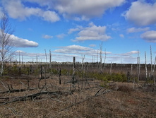 IMG 20200321 113259.jpg