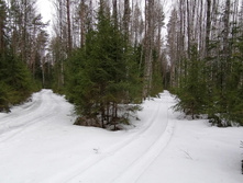 IMG 20200307 114131.jpg