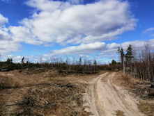 IMG 20200321 121829.jpg