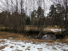 IMG 20200309 113109.jpg