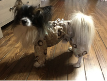 ����������� viber 2020-03-14 19-35-55.jpg