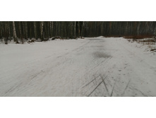 IMG 20200308 100639.jpg