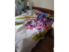 ����� � �������2.jpg