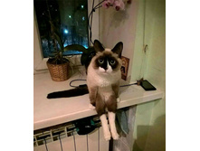 ����� ������ ����������� ...