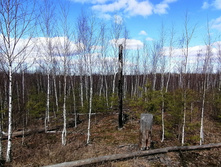 IMG 20200321 120423.jpg