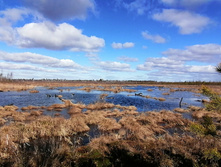 IMG 20200321 110713.jpg