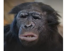 Screenshot 20200313 111226.jpg