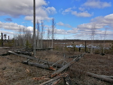 IMG 20200321 111052.jpg