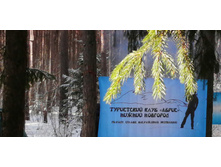 IMG 20200301 132740.jpg