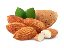 ������� �����