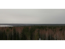 IMG 20200307 121929.jpg